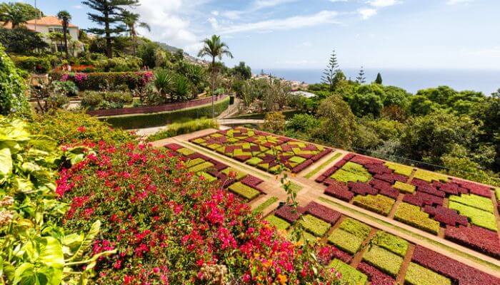 Madeira-Botanical-Garden